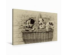 Premium Textil-Leinwand 90 x 60 cm Quer-Format Ein Korb voll Glück | Wandbild, HD-Bild auf Keilrahmen, Fertigbild auf hochwertigem Vlies, Leinwanddruck von Sonja TeÃen