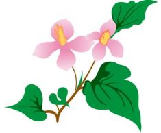 Indigos 4051719756845 Wandtattoo MF295 schÃ¶ne rosa Orchidee 60 x 52 cm