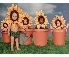Buyartforless 5 Sunflower Kinder in Blumentöpfe Foto 36,5 x 24,5 Kunstdruck Poster Super Babys Baby niedliche Funny gelb