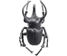 Kare Design Atlas Beetle matt Wandschmuck, schwarz