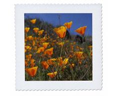 3dRose qs_258002_9 Steppdecke mit Narzissenblüten, quadratisch, 22 x 22 cm