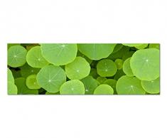 Panoramabild auf Leinwand und Keilrahmen 150x50cm Pflanzen BlÃ¤tter rund grÃ¼n Hintergrund