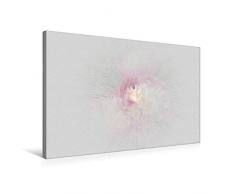 Premium Textil-Leinwand 75 cm x 50 cm quer Pfingstrose