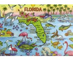 World By Shotglass Florida Karte, Kühlschrank Collector Souvenir Magnet 6,3 x 8,9 cm
