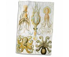 3dRose Handtuch, Motiv 1800 Zeichnung von berühmten Biologen Squids, Weiß, 38,1 x 55,9 cm