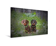 Premium Textil-Leinwand 120 x 80 cm Quer-Format August Schnuffel vom Schwindauer Land, schwarz-rot mit Ida von Kleinhehlen, braun, Rauhaar | Wandbild, HD-Bild auf Keilrahmen, Fertigbild auf hochwertigem Vlies, Leinwanddruck von Anja Foto Grafia Fotografie