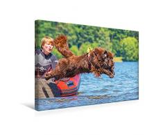 Premium Textil-Leinwand 45 x 30 cm Quer-Format Mit kühnem Sprung ins Wasser | Wandbild, HD-Bild auf Keilrahmen, Fertigbild auf hochwertigem Vlies, Leinwanddruck von Sigrid Starick