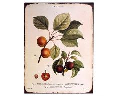 Barnyard Designs Vintage Botanical Pfirsich Blechschild, primitiv Country Farmhouse Home Decor Schild 25,4 x 33 cm von