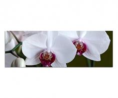 Panoramabild auf Leinwand und Keilrahmen 150x50cm Orchidee weiÃ BlÃ¼ten GroÃaufnahme