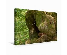 Premium Textil-Leinwand 45 x 30 cm Quer-Format Kuschel-Tier | Wandbild, HD-Bild auf Keilrahmen, Fertigbild auf hochwertigem Vlies, Leinwanddruck von Angelika Keller
