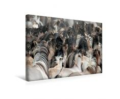 Premium Textil-Leinwand 45 cm x 30 cm quer, DÃ¼lmener Wildpferde - GefÃ¤hrdete Nutztierrasse | Wandbild, Bild auf Keilrahmen, Fertigbild auf echter Leinwand, Leinwanddruck: Wilde Herde (CALVENDO Tiere);CALVENDO Tiere