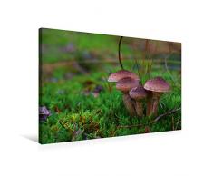 Premium Textil-Leinwand 75 x 50 cm Quer-Format Hallimasch bot. Armillaria mellea | Wandbild, HD-Bild auf Keilrahmen, Fertigbild auf hochwertigem Vlies, Leinwanddruck von Avianaarts Design Fotografie by Tanja Riedel