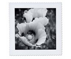 3dRose qs_252501_1 Steppdecke Biene und Mohnblume, quadratisch, 25,4 x 25,4 cm