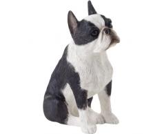 Sandicast Boston Terrier Skulptur, Mehrfarbig, S Size