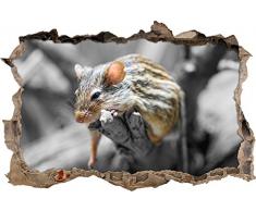 Pixxprint 3D_WD_S4786_62x42 müde Feldmaus Wanddurchbruch 3D Wandtattoo, Vinyl, schwarz / weiß, 62 x 42 x 0,02 cm