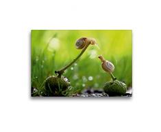 Premium Textil-Leinwand 45 cm x 30 cm quer Ein Motiv aus dem Kalender at Schneckentempo durch das Jahr | Wandbild, Bild auf Keilrahmen, Fertigbild auf echter Leinwand, Leinwanddruck (CALVENDO Natur);CALVENDO Natur