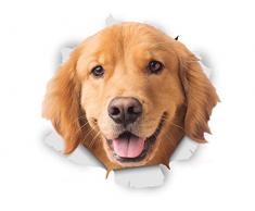 Winston & Bear 3D Hund Aufkleber - 2er-Pack - glücklich Golden Retriever für Wand, Kühlschrank Golden Retriever Hund Aufkleber