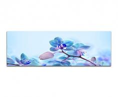 Panoramabild auf Leinwand und Keilrahmen 150x50cm Orchideen BlÃ¼ten blau rosa