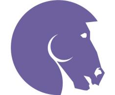 INDIGOS 4051095055235 Wandtattoo w615 Pferd 96 x 53 cm Wandaufkleber in 3 Größen, violett