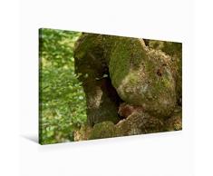 Premium Textil-Leinwand 75 x 50 cm Quer-Format Kuschel-Tier | Wandbild, HD-Bild auf Keilrahmen, Fertigbild auf hochwertigem Vlies, Leinwanddruck von Angelika Keller