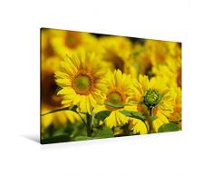 Premium Textil-Leinwand 120 x 80 cm Quer-Format Natur Bilder Kalender | Wandbild, HD-Bild auf Keilrahmen, Fertigbild auf hochwertigem Vlies, Leinwanddruck von Avianaarts Design Fotografie by Tanja Riedel