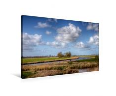 Calvendo Premium Textil-Leinwand 75 cm x 50 cm quer, Knockster Tief im FrÃ¼hling, Ostfriesland | Wandbild, Bild auf Keilrahmen, Fertigbild auf echter Leinwand. des Landes in Ostfriesland Natur Natur