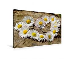 Premium Textil-Leinwand 90 x 60 cm Quer-Format Herz aus Blumen | Wandbild, HD-Bild auf Keilrahmen, Fertigbild auf hochwertigem Vlies, Leinwanddruck von Herzensfreund