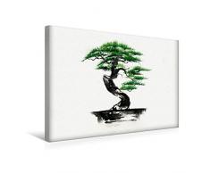 Premium Textil-Leinwand 45 x 30 cm Quer-Format Bonsai | Wandbild, HD-Bild auf Keilrahmen, Fertigbild auf hochwertigem Vlies, Leinwanddruck von Jitka Krause