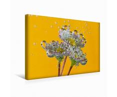 Premium Textil-Leinwand 45 cm x 30 cm quer Bubble World - Pflanzen unter Wasser - Gänseblümchen, Venetien