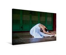 Premium Textil-Leinwand 75 x 50 cm Quer-Format Mainhattan Ballerina im koreanischen Garten | Wandbild, HD-Bild auf Keilrahmen, Fertigbild auf hochwertigem Vlies, Leinwanddruck von Sebastian Kuse - Photographer
