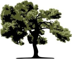 INDIGOS 4051719802276 Wandtattoo ME035 groÃer Baum Pflanze Natur Wald 60 x 49 cm