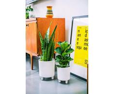 Ivyline Blumentopf, Keramik, weiß, 19 cm