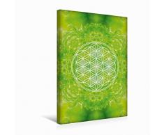 Premium Textil-Leinwand 30 x 45 cm Hoch-Format Blume des Lebens - Heilkraft Natur | Wandbild, HD-Bild auf Keilrahmen, Fertigbild auf hochwertigem Vlies, Leinwanddruck von Gaby Shayana Hoffmann