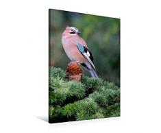 Calvendo Premium Textil-Leinwand 60 cm x 90 cm hoch, Eichelhäher | Wandbild, Bild auf Keilrahmen, Fertigbild auf echter Leinwand, Leinwanddruck: Vögel im heimischen Garten Tiere Tiere