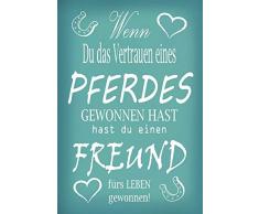 Schatzmix Wenn du das Vertrauen eines Pferdes gewonnen hast- hast du einen Freund fürs Leben gewonnen. Tier, Pferd Sprüche Blechschild, 20x30 cm Deko