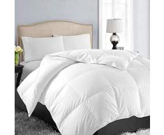 EASELAND Ganzjahresdecke weiche Gesteppte Daunen Alternative Comforter Hotel Collection wendbar Betteinlage mit Ecktabs, Winter warm flauschig hypoallergen, weiß, Queen(88x88 Inches)