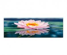 Panoramabild auf Leinwand und Keilrahmen 150x50cm Lotus Wasserlilie BlÃ¼te Wasser BlÃ¤tter