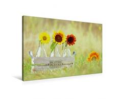 Premium Textil-Leinwand 90 x 60 cm Quer-Format Petites Fleurs | Wandbild, HD-Bild auf Keilrahmen, Fertigbild auf hochwertigem Vlies, Leinwanddruck von Avianaarts Design Fotografie by Tanja Riedel