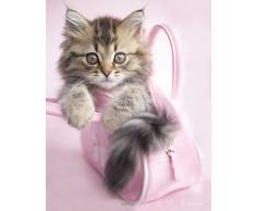 Hale, Rachael - Minnie - Mini Poster Foto Katze Handtasche - Grösse 40x50 cm