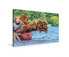 Premium Textil-Leinwand 90 x 60 cm Quer-Format Mit kÃ¼hnem Sprung ins Wasser | Wandbild, HD-Bild auf Keilrahmen, Fertigbild auf hochwertigem Vlies, Leinwanddruck von Sigrid Starick