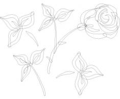 INDIGOS WG20001-10 Wandtattoo w001 Rosen Wandaufkleber, 96 x 74 cm, weiß