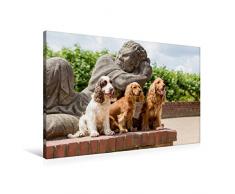 Premium Textil-Leinwand 90 x 60 cm Quer-Format drei Cocker sitzen vor einer Steinfigur | Wandbild, HD-Bild auf Keilrahmen, Fertigbild auf hochwertigem Vlies, Leinwanddruck von Fotodesign Verena Scholze