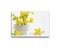 Premium Textil-Leinwand 45 x 30 cm Quer-Format Hypericum perforatum; Johanniskraut | Wandbild, HD-Bild auf Keilrahmen, Fertigbild auf hochwertigem Vlies, Leinwanddruck von Avianaarts Design Fotografie by Tanja Riedel