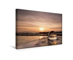 Calvendo Premium Textil-Leinwand 45 cm x 30 cm quer, EIN Motiv aus dem Kalender Natur & Glas | Wandbild, Bild auf Keilrahmen, Fertigbild auf echter Leinwand, Leinwanddruck Natur Natur