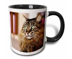 3dRose Maine Coon-Two Ton, schwarz, Becher, Keramik, Schwarz/Weiß, 10.16 cm x 7,62 x-Uhr