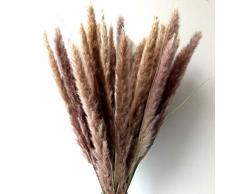 Dongliflower 60 Stück natürliches kleines Pampasgras, getrocknete Schilfrohrpflaumen, Phragmiten, Kommunis, Hochzeit, Deko-Blumenstrauß, 61 cm hoch (natürlich)