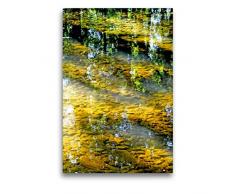 Premium Textil-Leinwand 50 x 75 cm Hoch-Format Ein Pool von Wasser in der Mitte des Waldes | Wandbild, HD-Bild auf Keilrahmen, Fertigbild auf hochwertigem Vlies, Leinwanddruck von Patrice Thébault