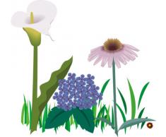 INDIGOS 4051719805826 Wandtattoo ME087 schÃ¶ne Wiese Blumen Gras BlÃ¼ten Natur Pflanzen 80 x 75 cm