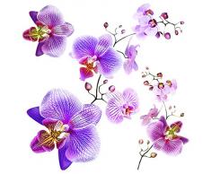 AG Design SS 3859 Orchideen, Wand Sticker, Colorful, 30 x 30 cm