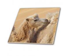 3dRose CT 209901 _ 3 China, Gansu-Provinz, badain Jaran Wüste Kamele in Einer Wüste Convoy Keramik Fliesen, 20,3 cm
